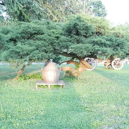 R&b Le Bighe Bed & Breakfast